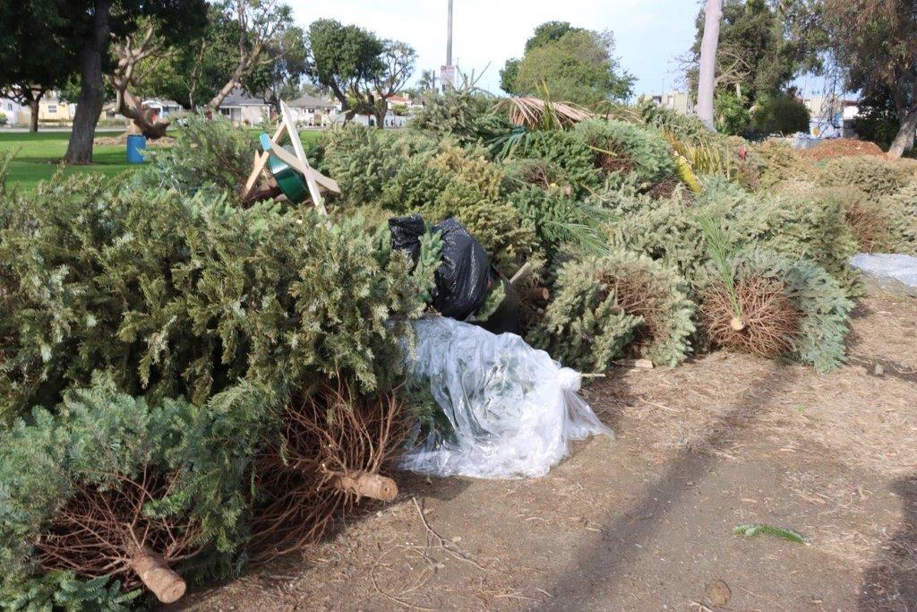 A pile of trees and bushes

Description automatically generated with medium confidence