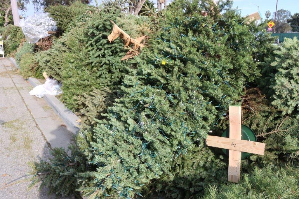 A cross on a tree

Description automatically generated with medium confidence