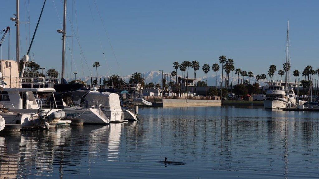 A boat docked in a harbor

Description automatically generated with medium confidence