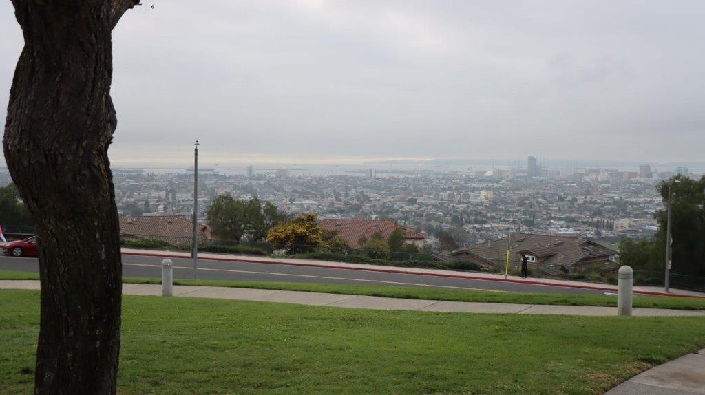 A view of a city from a hill

Description automatically generated