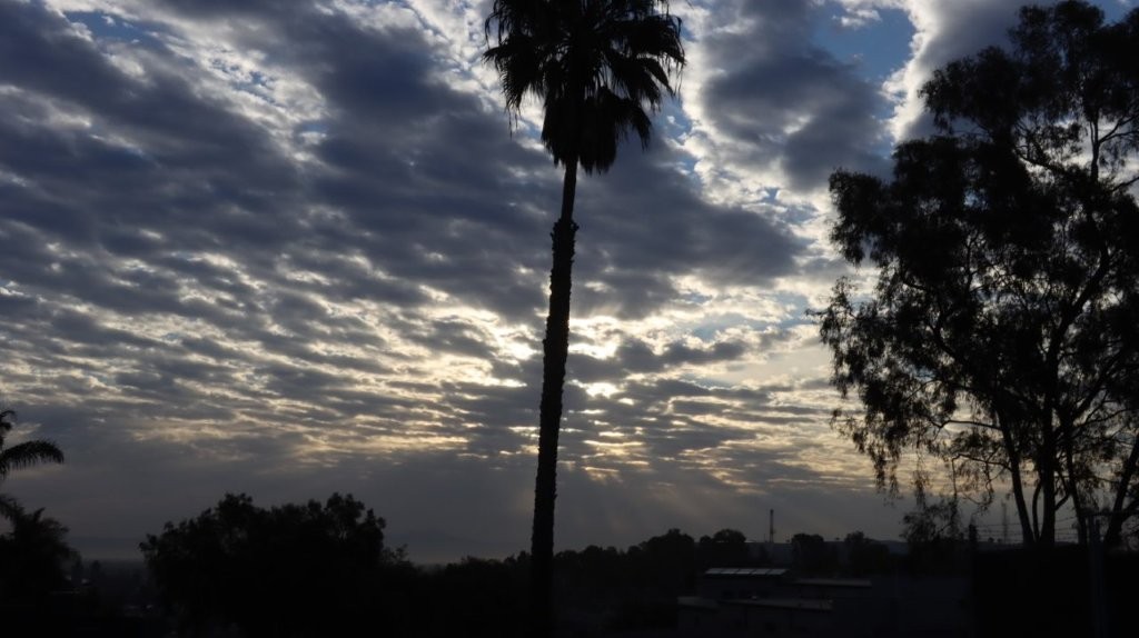A palm tree and clouds in the sky

AI-generated content may be incorrect.