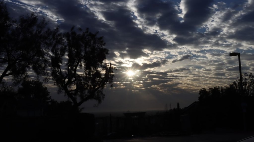 A tree and the sun in the sky

AI-generated content may be incorrect.