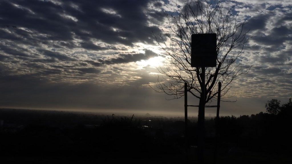 A tree with a sign in the foreground

AI-generated content may be incorrect.