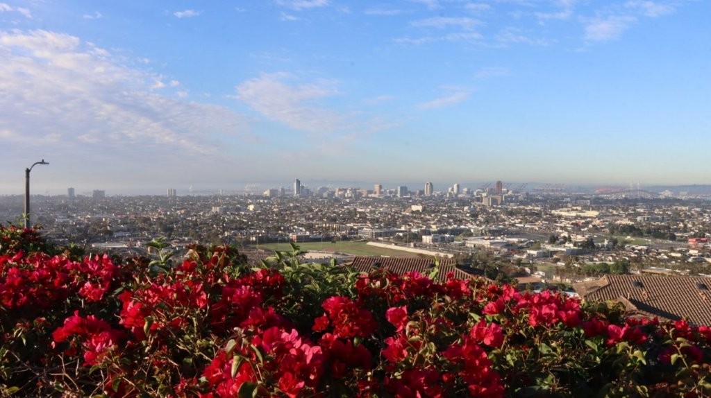 A view of a city from a hill

AI-generated content may be incorrect.