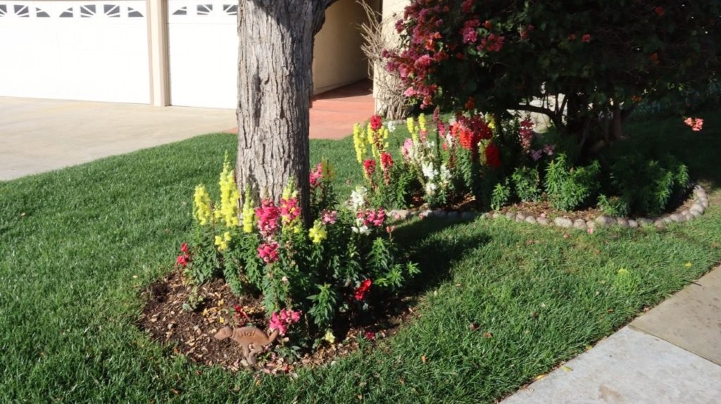 A flower bed in a front yard

AI-generated content may be incorrect.