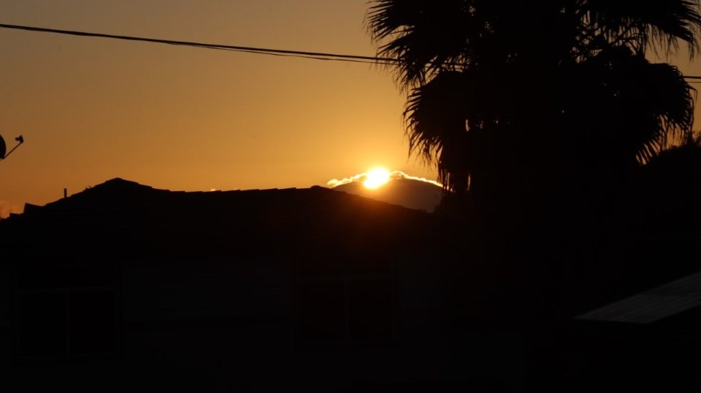 A sunset behind a palm tree

AI-generated content may be incorrect.