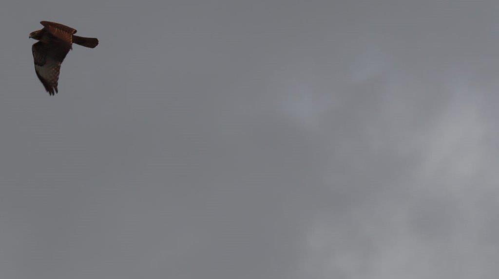 A cloudy sky with clouds

Description automatically generated