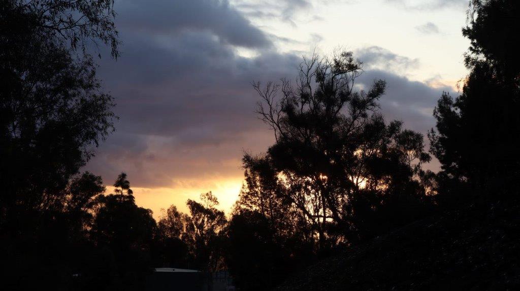 A sunset over a tree

Description automatically generated with medium confidence