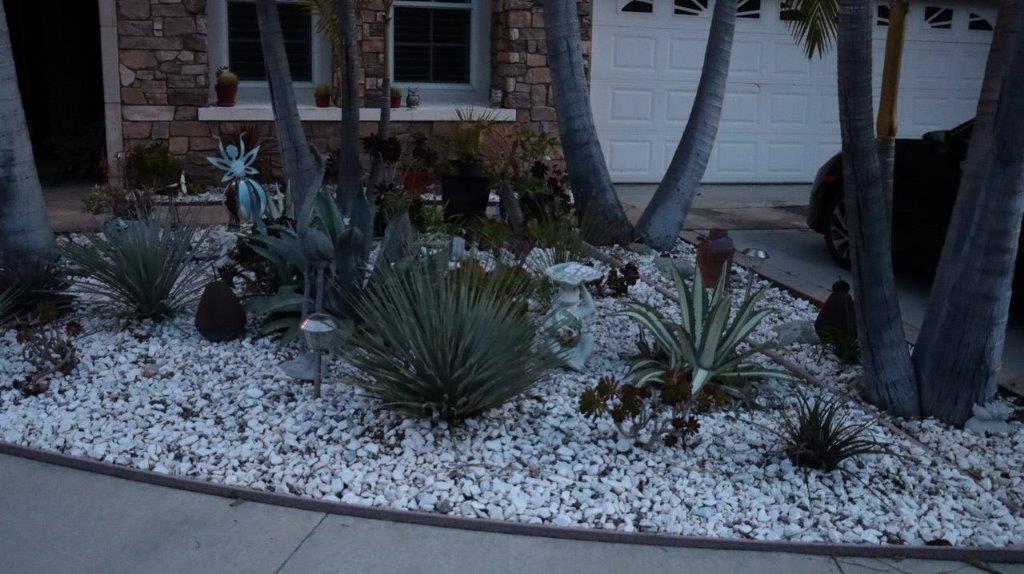 A house with a driveway and palm trees

Description automatically generated with medium confidence