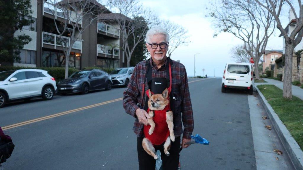 A person walking on the street with a dog

Description automatically generated