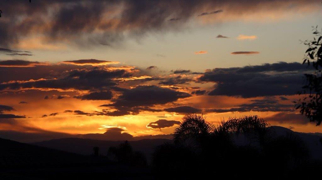 A sunset with clouds and trees

Description automatically generated