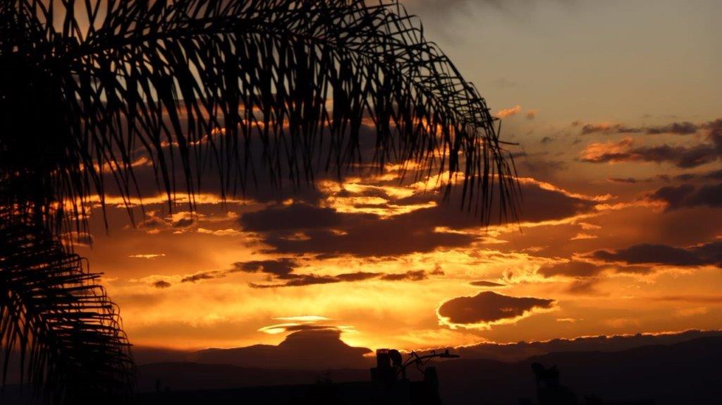 A sunset with clouds and a palm tree

Description automatically generated