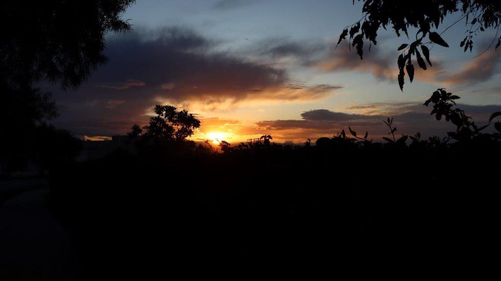 A sunset over a forest

Description automatically generated