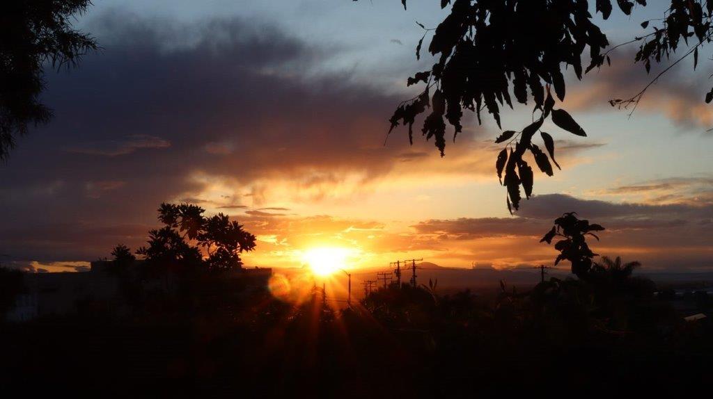 A sunset over a field

Description automatically generated