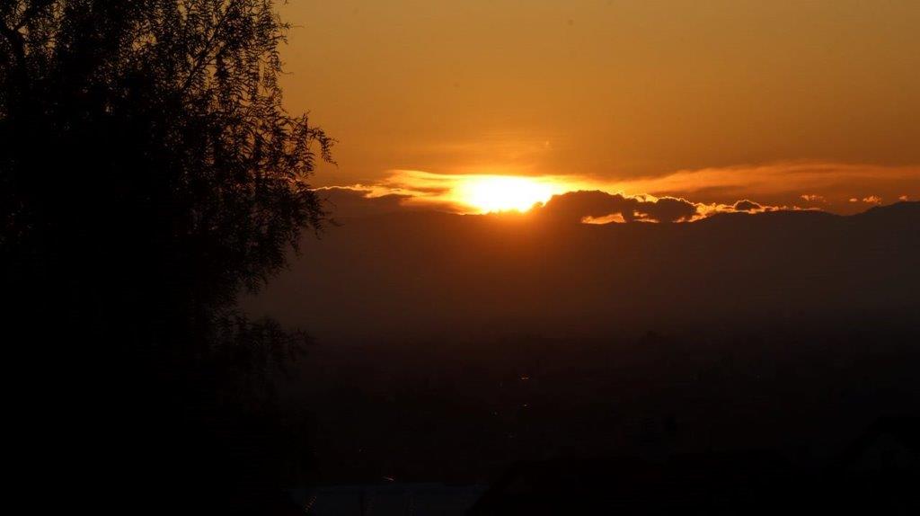 A sunset over a tree

Description automatically generated