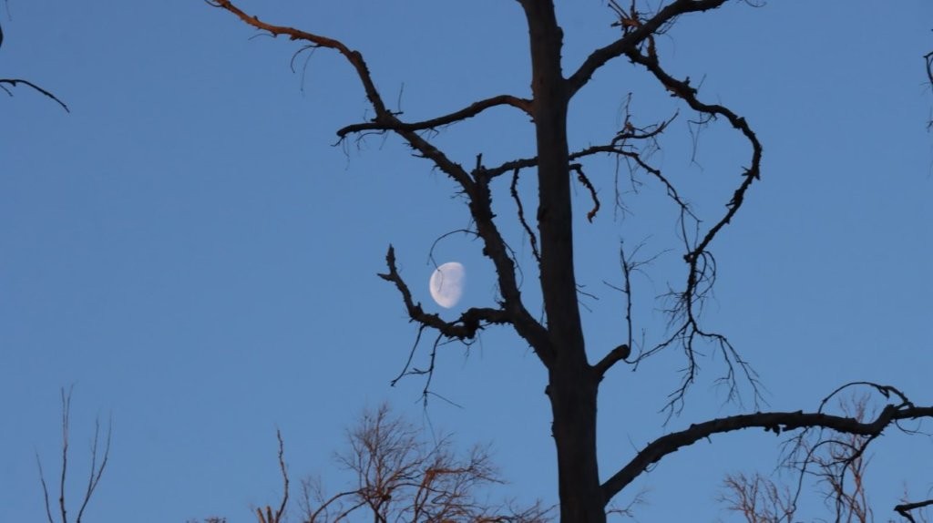 A moon in the sky

AI-generated content may be incorrect.
