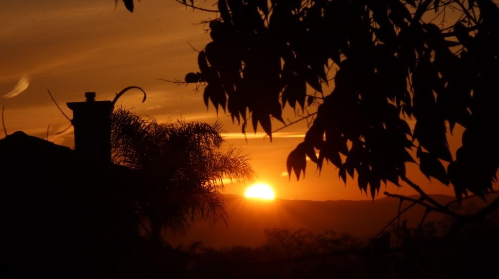 A sunset behind trees

AI-generated content may be incorrect.