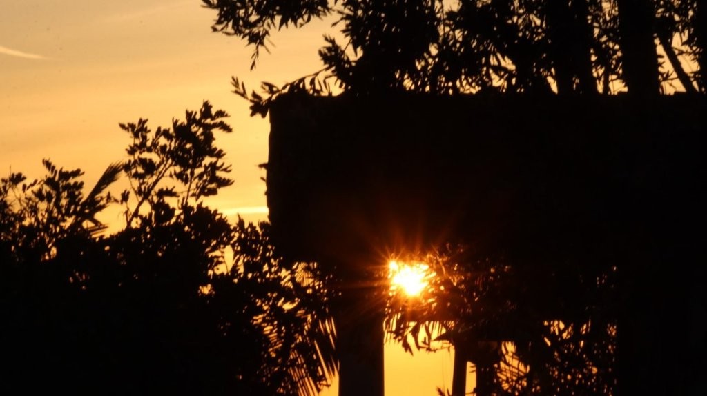 A sun setting behind trees

AI-generated content may be incorrect.