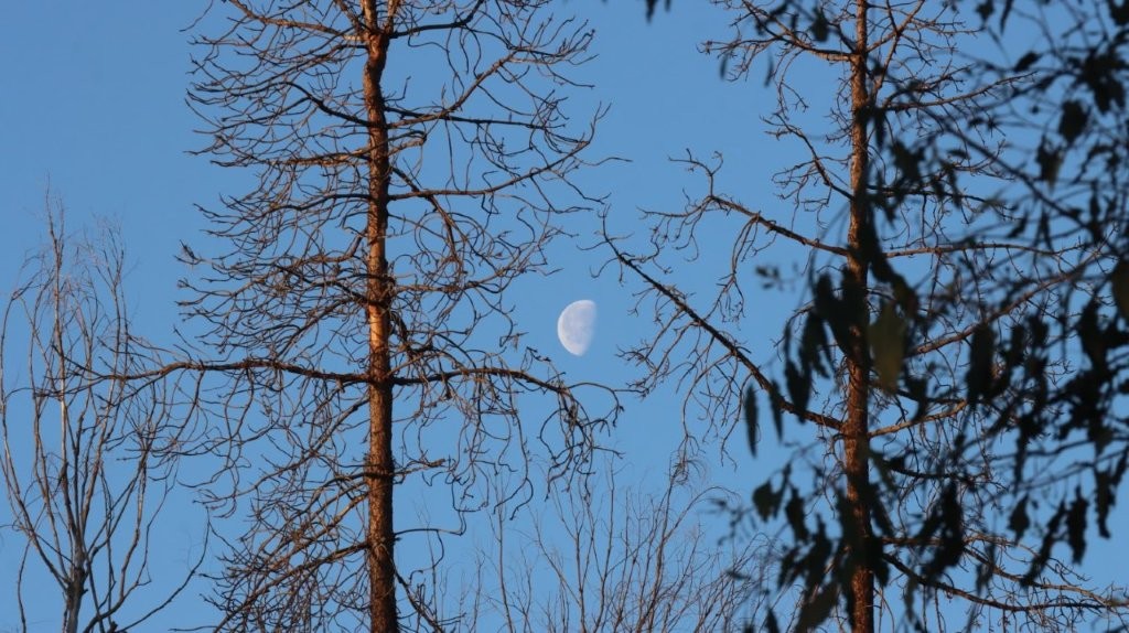 A moon in the sky

AI-generated content may be incorrect.