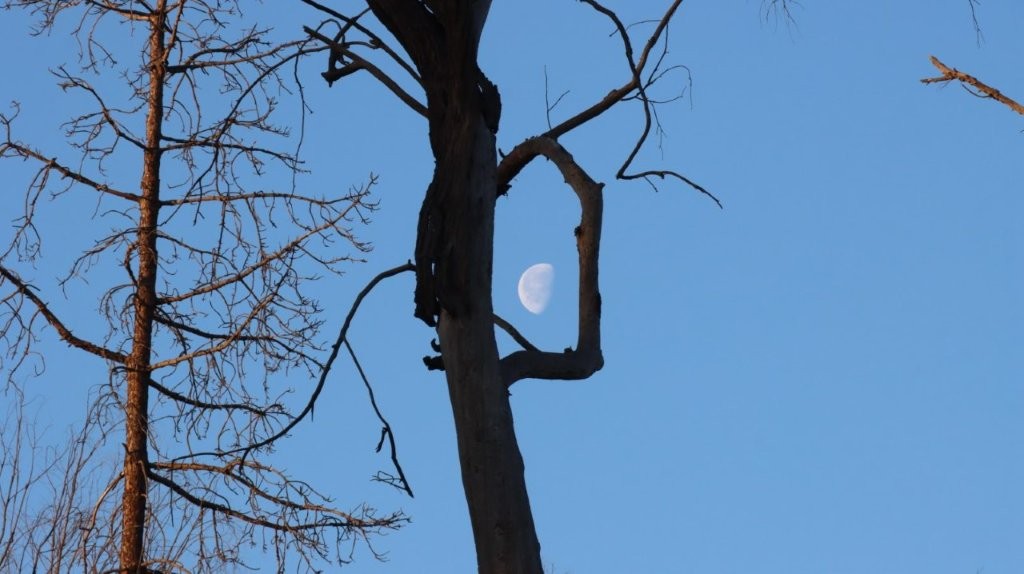 A moon in the sky

AI-generated content may be incorrect.
