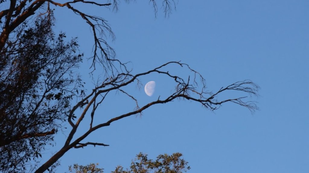 A moon in the sky

AI-generated content may be incorrect.