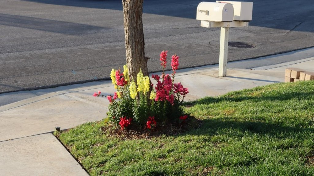 A tree trunk with flowers in the middle

AI-generated content may be incorrect.