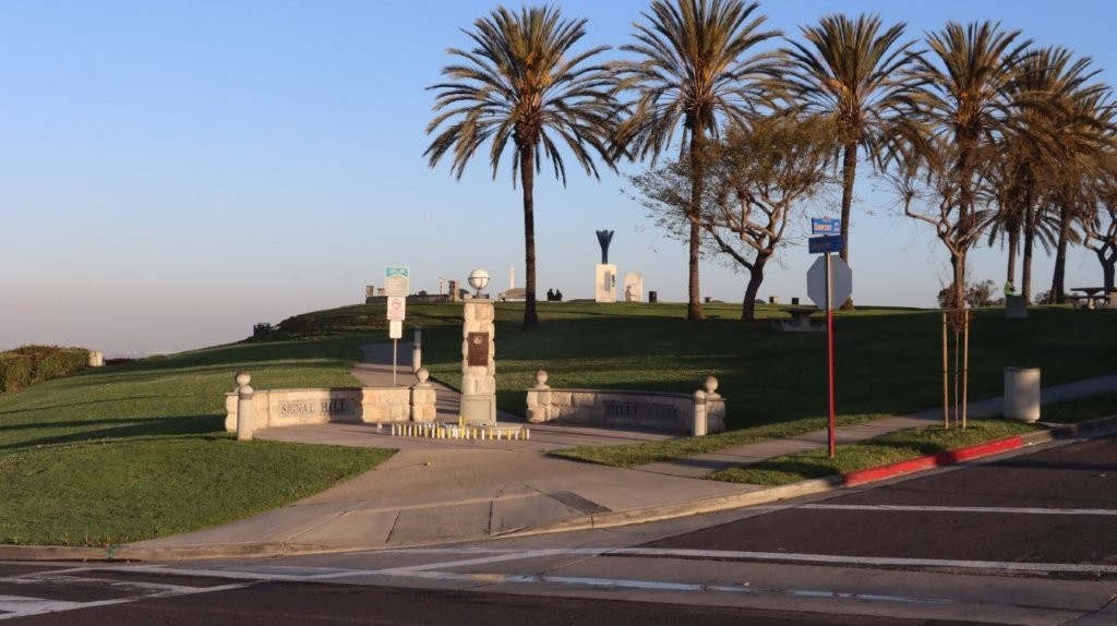 A palm trees and a park

AI-generated content may be incorrect.