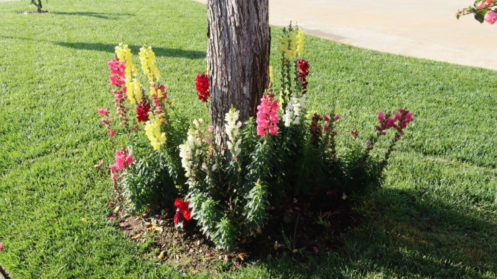 A close-up of a tree trunk

AI-generated content may be incorrect.