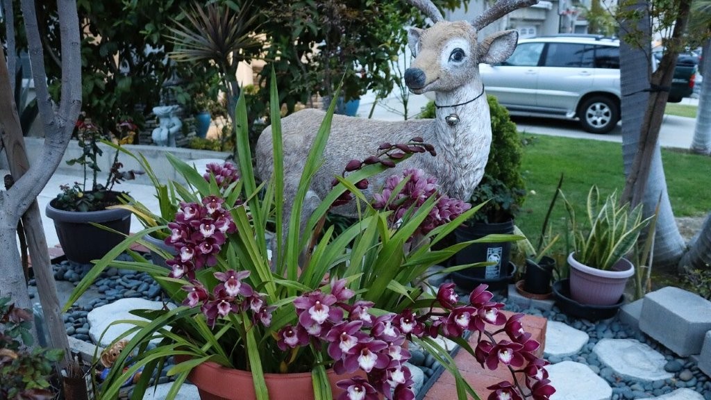 A statue of a deer next to a potted plant

AI-generated content may be incorrect.