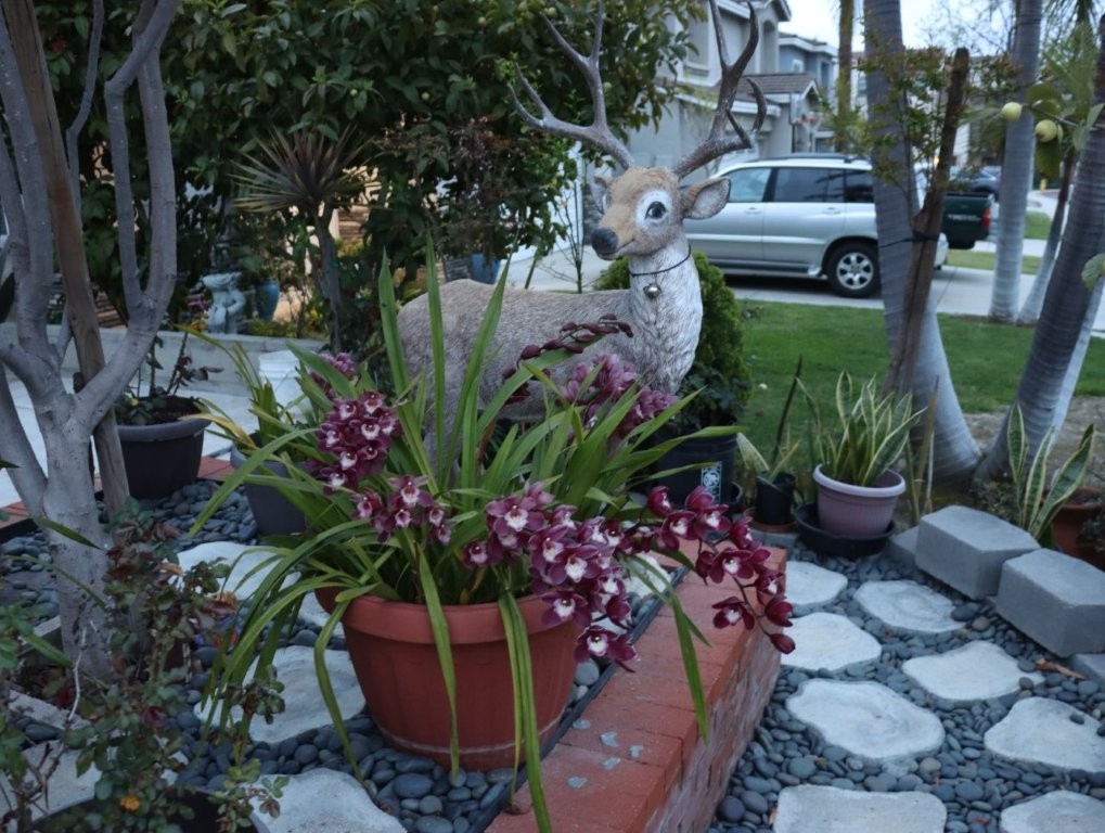 A deer statue in a garden

AI-generated content may be incorrect.