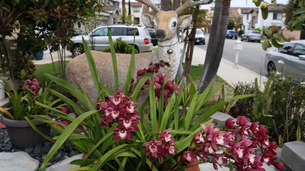 A statue of a deer in front of a flower pot

AI-generated content may be incorrect.