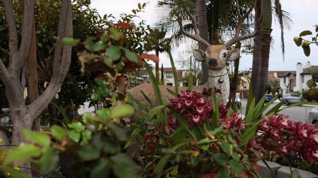 A statue of a deer in a garden

AI-generated content may be incorrect.