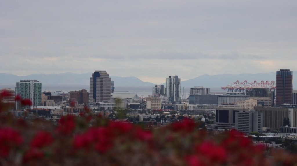 A city with red flowers

AI-generated content may be incorrect.