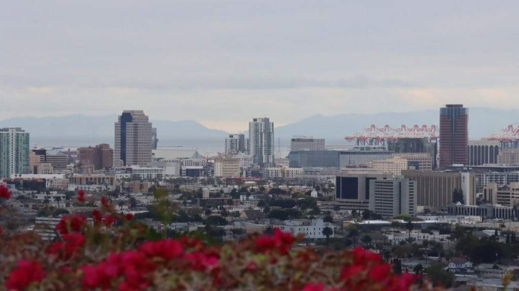 A cityscape with red flowers

AI-generated content may be incorrect.