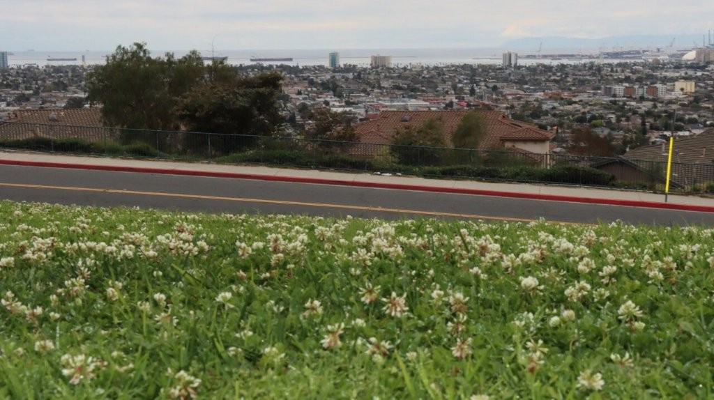 A road with a view of a city

AI-generated content may be incorrect.