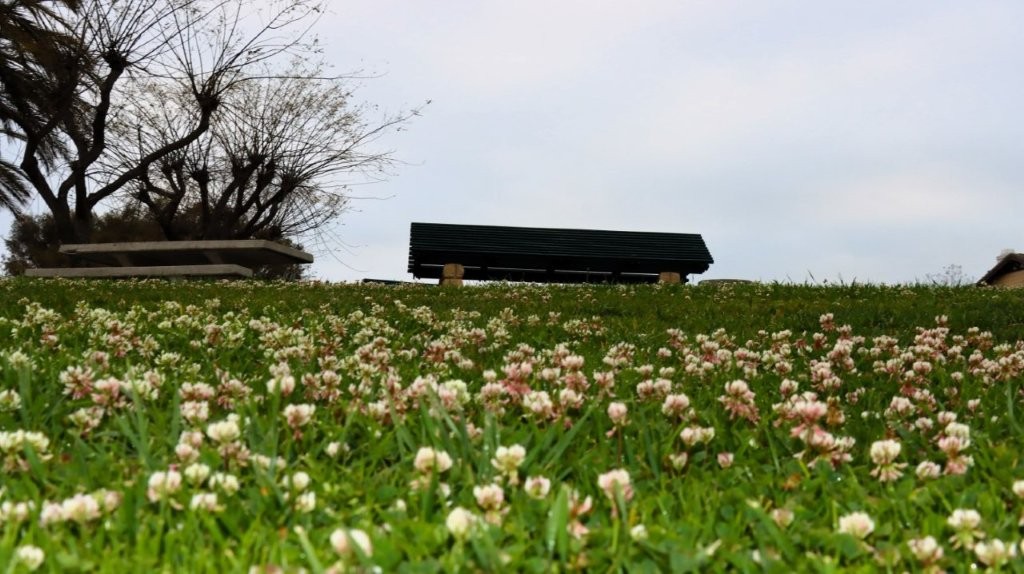 A bench in a field of grass

AI-generated content may be incorrect.