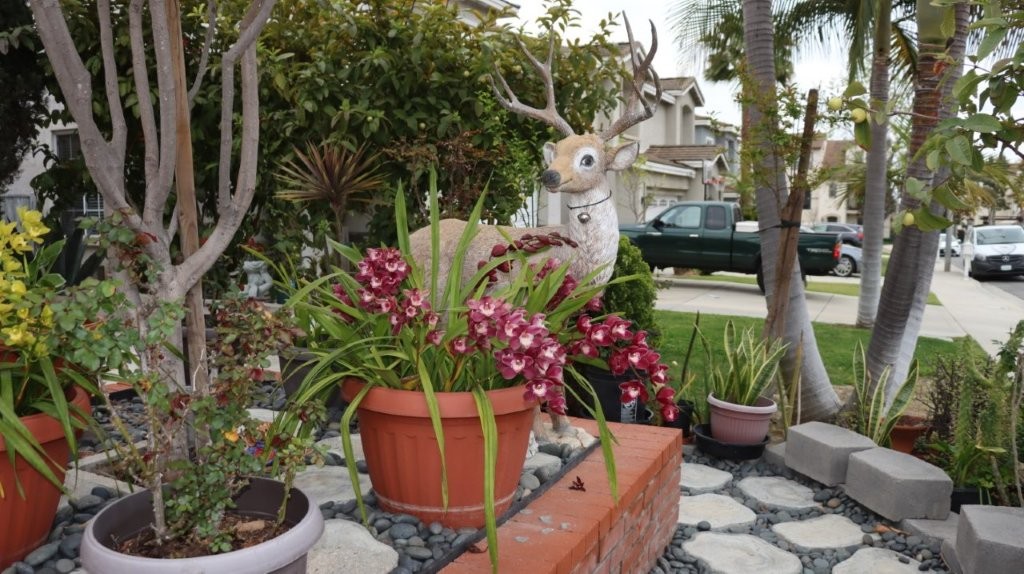 A garden with a deer statue

AI-generated content may be incorrect.