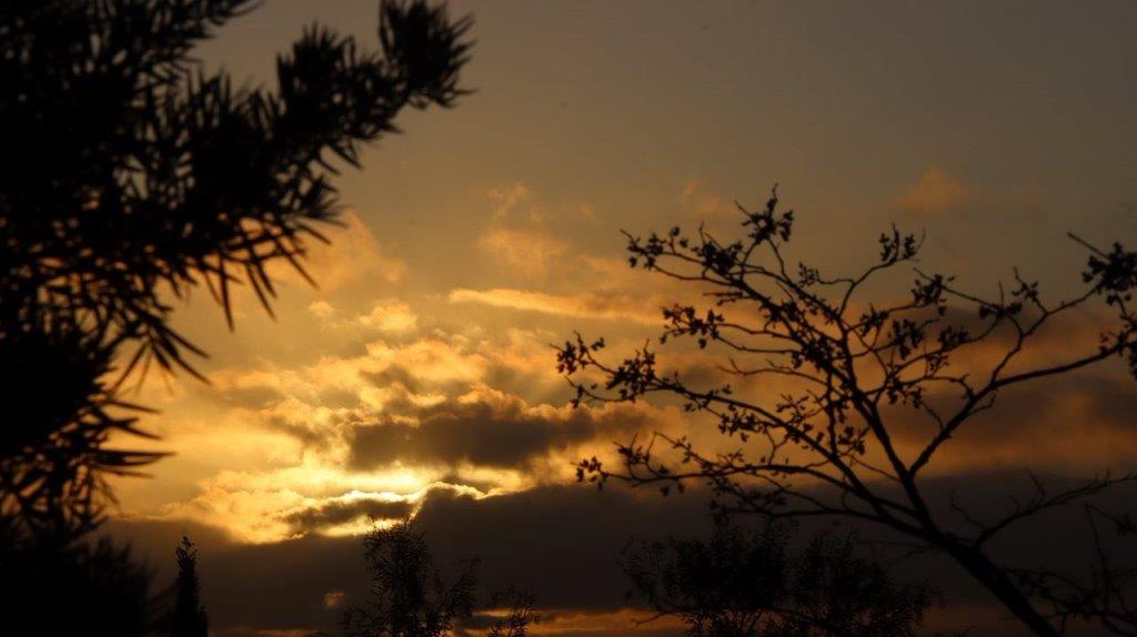 A sunset with clouds and trees

Description automatically generated