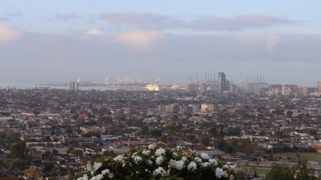 A view of a city from a hill

Description automatically generated