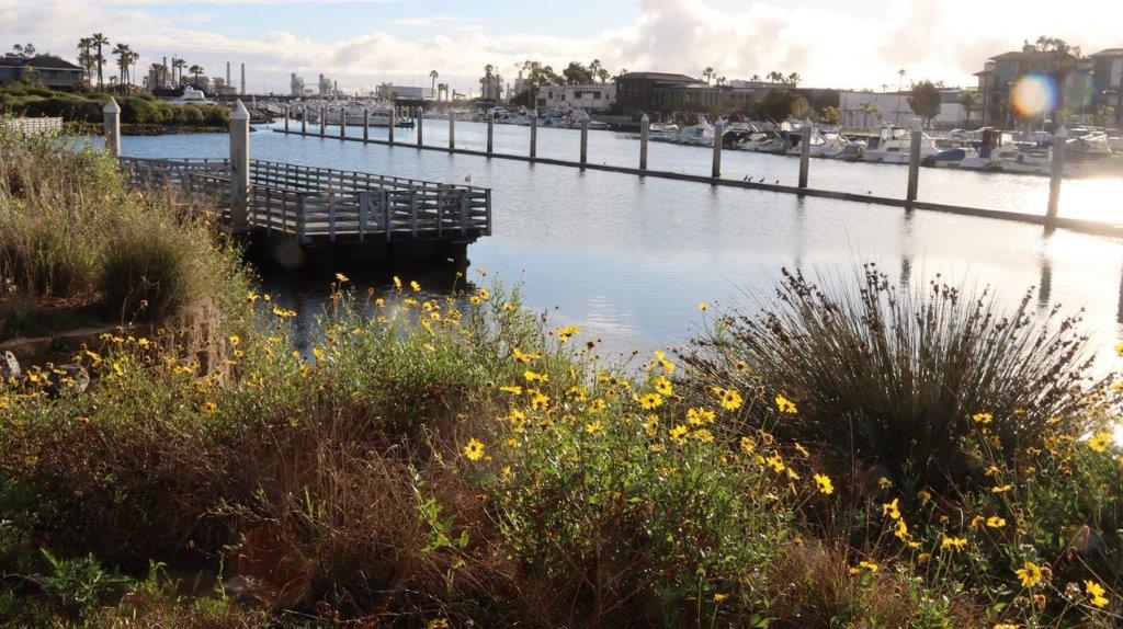 A dock on a river

Description automatically generated with medium confidence