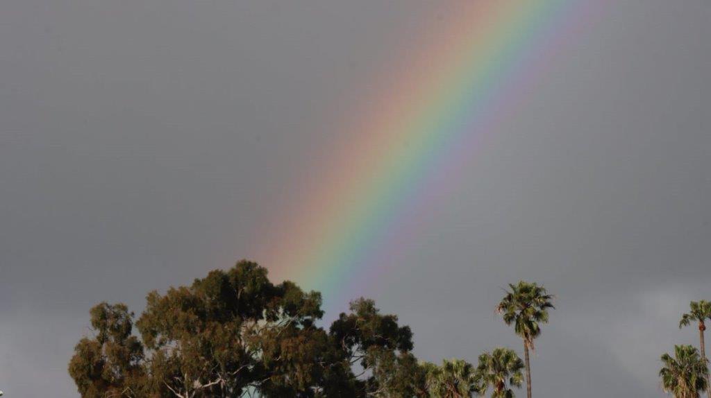 A rainbow over trees and palm trees

Description automatically generated