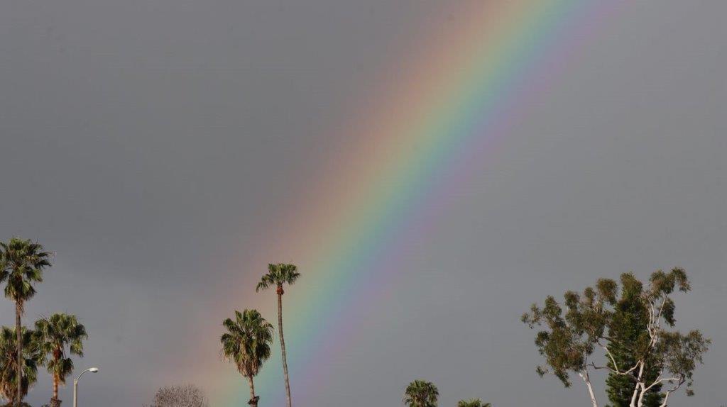 A rainbow in the sky

Description automatically generated