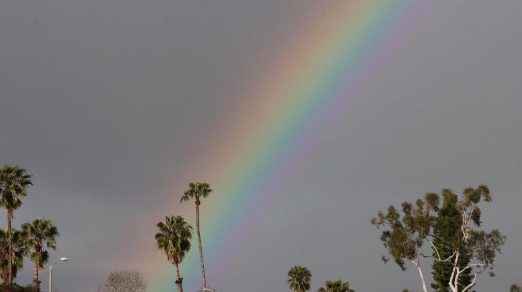A rainbow in the sky

Description automatically generated