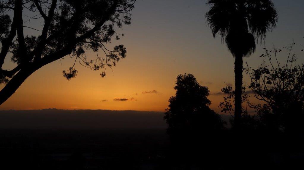 A sunset over a tree

Description automatically generated with medium confidence