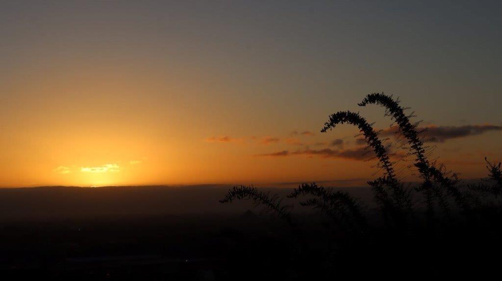 A sunset over a field

Description automatically generated