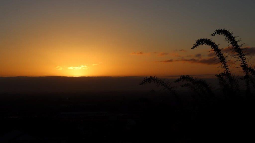 A sunset over a field

Description automatically generated