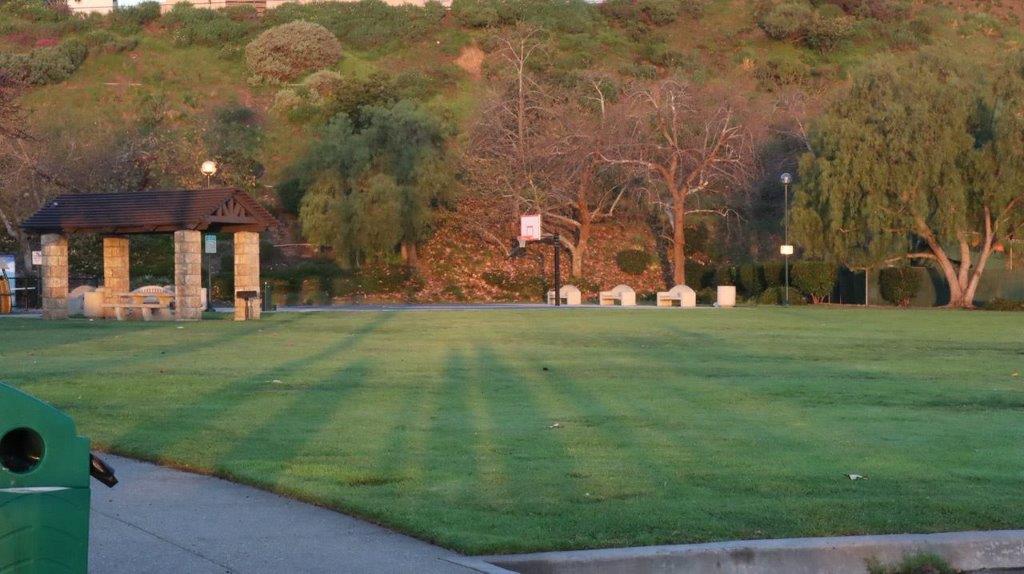 A grassy area with trees in the background

Description automatically generated