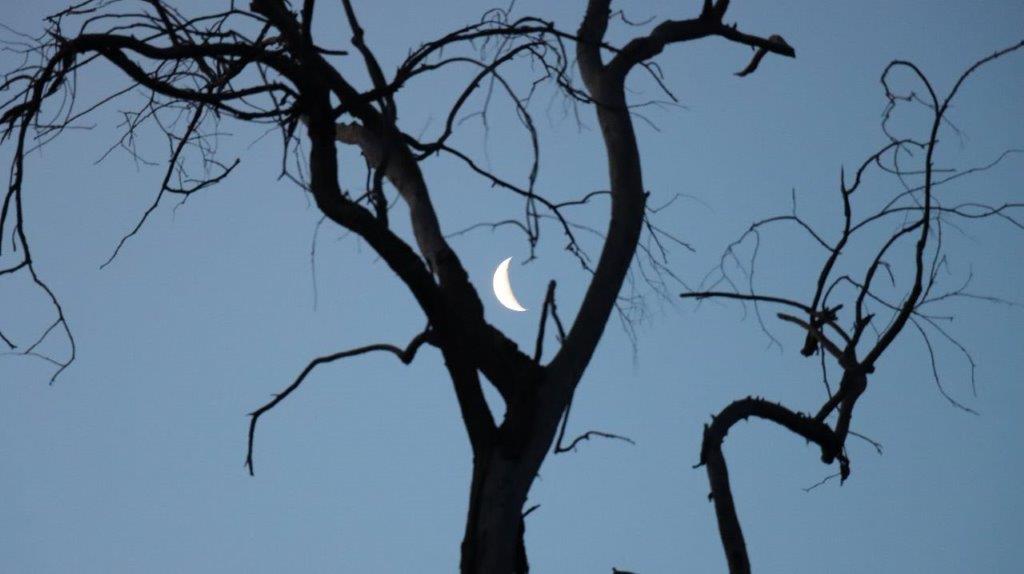 A crescent moon in the sky

Description automatically generated