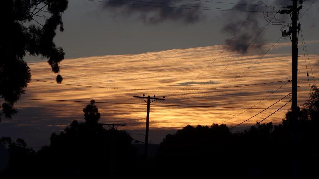 A silhouette of a telephone pole and trees

Description automatically generated