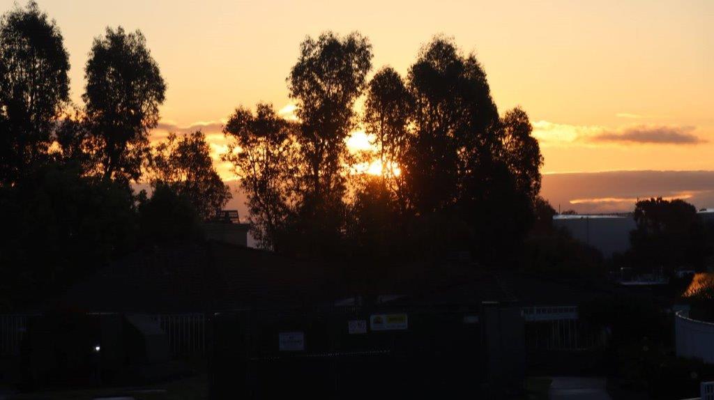 A sunset behind trees

Description automatically generated